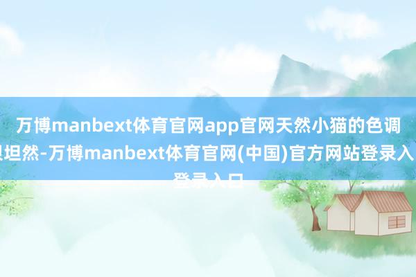 万博manbext体育官网app官网天然小猫的色调很坦然-万博manbext体育官网(中国)官方网站登录入口