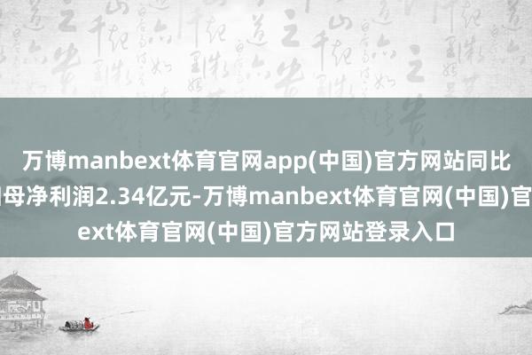 万博manbext体育官网app(中国)官方网站同比增长4.24%；归母净利润2.34亿元-万博manbext体育官网(中国)官方网站登录入口