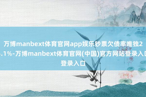 万博manbext体育官网app娱乐钞票欠债率唯独25.1%-万博manbext体育官网(中国)官方网站登录入口