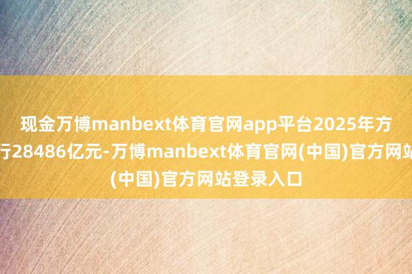 现金万博manbext体育官网app平台2025年方位债已刊行28486亿元-万博manbext体育官网(中国)官方网站登录入口