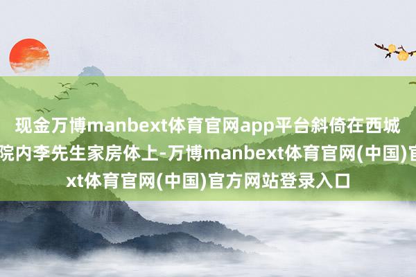 现金万博manbext体育官网app平台斜倚在西城区赵登禹路34号院内李先生家房体上-万博manbext体育官网(中国)官方网站登录入口