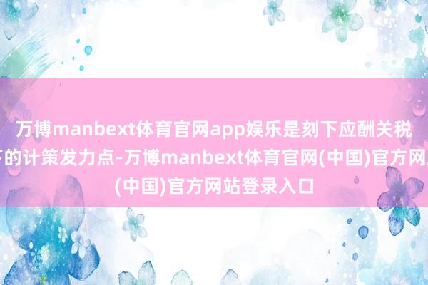 万博manbext体育官网app娱乐是刻下应酬关税战等冲击下的计策发力点-万博manbext体育官网(中国)官方网站登录入口